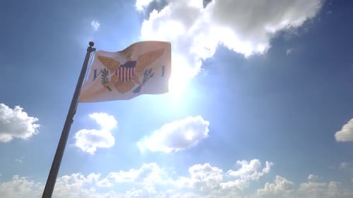 United States Virgin Islands Flag on a Flagpole V4