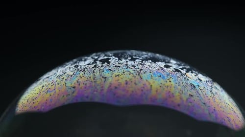 Soap bubbles isolated on black background. Abstract soap bubbles with colorful reflections.