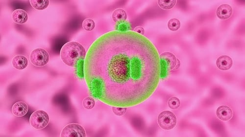 Process infecting cell of pathogenic microorganisms