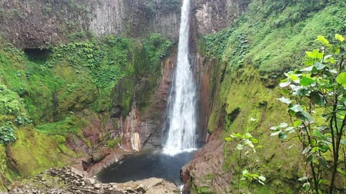 Aerial view of waterfall in lush rainforest