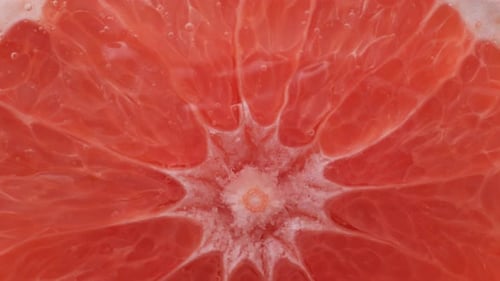 Vibrant Red Grapefruit Half in Macro Detail