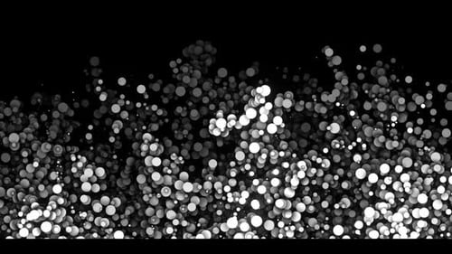Black And Whine Splash Widescreen
