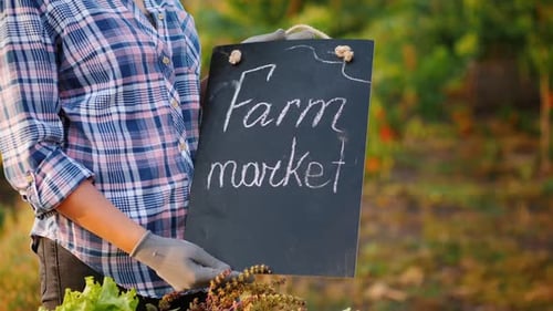 Farmer's Hands Holding a Sign. Farmers Market Near the Counter with Seasonal Vegetables