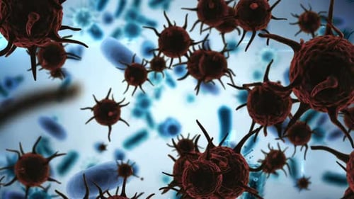 Virus and red blood cells 4k