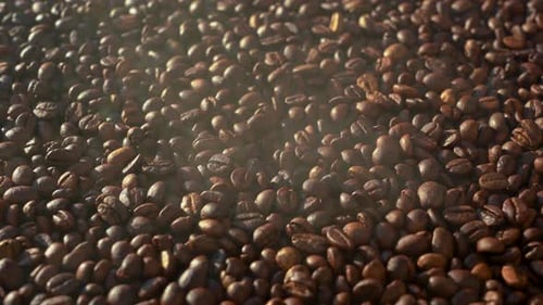 The coffee beans are roasted