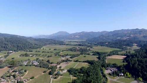 Aerial View of Napa Valley Vineyard Landscape