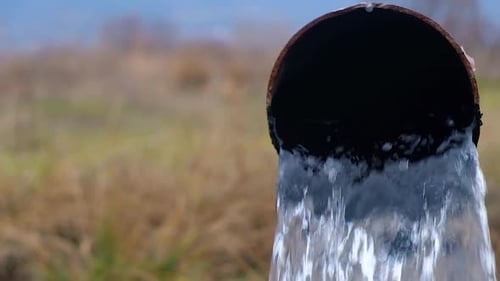 Wasser