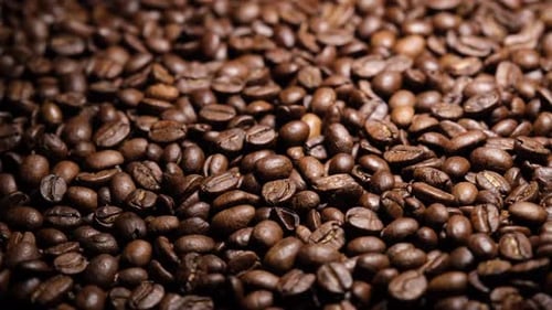 Close Up of Dark Roasted Coffee Beans