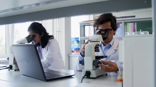 Researchers Working With Microscopes in a Bright Lab