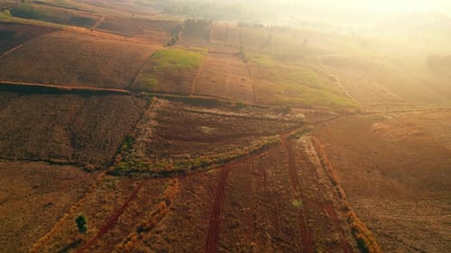 4K : Aerial view flight over the beautiful field in sunset. Countryside scenery.