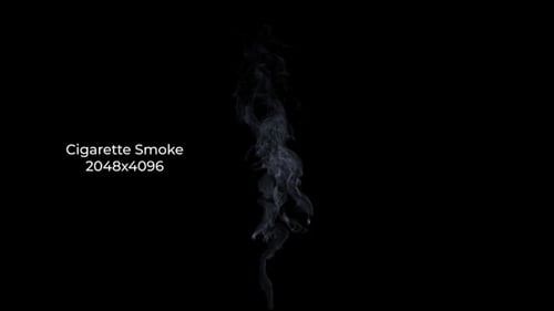 Dynamic Fluid Smoke Element on Black