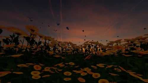 Animated Field of Daisies and Butterflies at Sunset