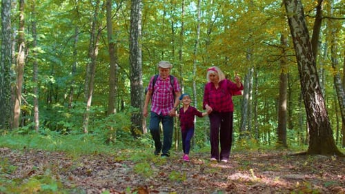 Grandparents Walking With Granddaughter in Forest