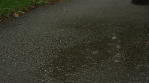 Legs of female runner stepping into muddy puddle in sneakers.