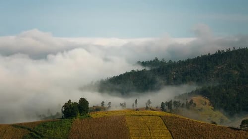 Fog Landscape Mountain