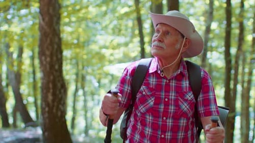 Senior Man Hiking in Beautiful Forest, Recreation