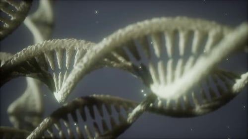 Double Helical Structure of Dna Strand Close-up Animation