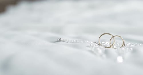 Gold Wedding Rings Resting on a Bridal Veil