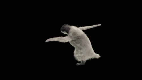 Pinguin tanzend HD