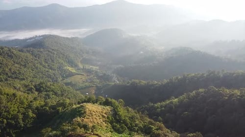 Aerial landscape view of greenery rainforest and hills on foggy day by drone