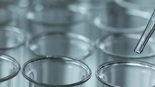 Pipette Dispensing Clear Liquid into Test Tubes Close Up