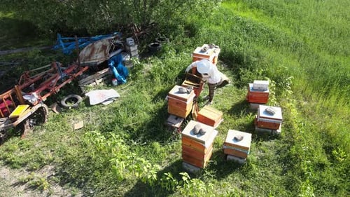 Beekeeper With Honeycombs