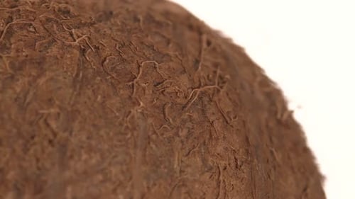 Seite der Kokosnuss isoliert auf weiß, Rotation