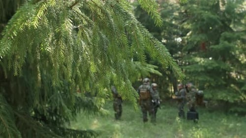 Soldiers On Military Operation In Forest