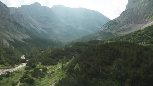 Drone Flight Over Lush Green Valley