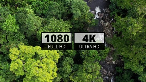 AH - Forest River 08