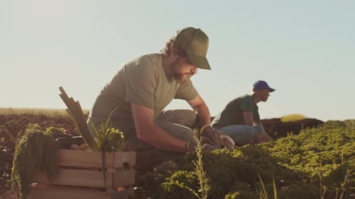 Dos jardineros trabajando al aire libre