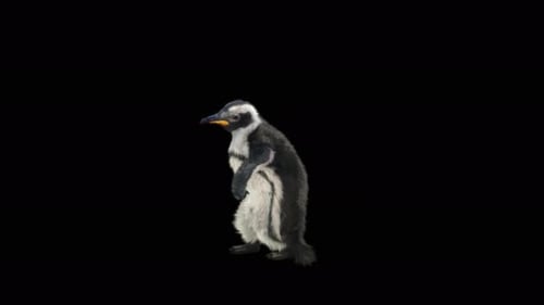 Realistic Animated Penguin Walking Cycle