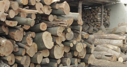 Holzeinschlag. Frisch geschnittene Baumstämme aus Holz gestapelt. Holzlager für die Industrie