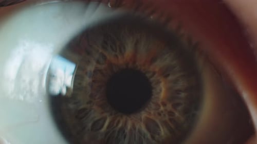 Perfektes Makro für braune Augen in steriler Umgebung und perfektes Sehen
