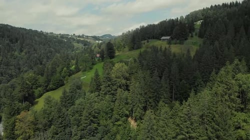 Lush Green Forests and Mountainous Aerial View