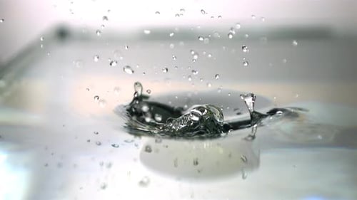 Lime Dropped Into Water Creating Splash