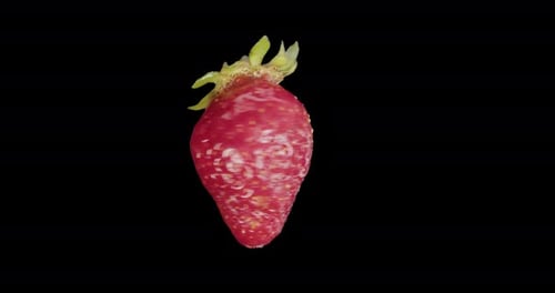Red Strawberry Rotates Alpha Channel