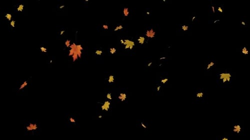 Falling Autumn Leaves Seamless Loop