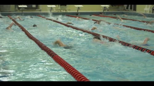 Swimmers Training Laps in an Indoor Swimming Pool