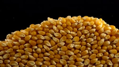 Fallende Popcorn-Maiskörner auf schwarzem Hintergrund.