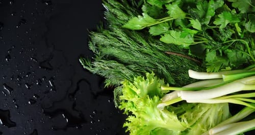 Dill, Parsley, Green Onions and Salad Rotate Slowly.