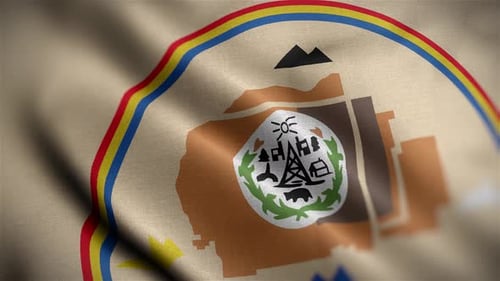 Realistic Waving Regional Flag with Emblem