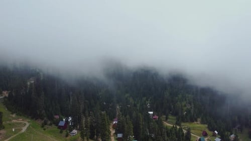 Cloud and forest aerial view