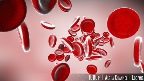 Stream Of Red Blood Cells In Front