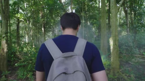 Hiker Walking In Forest