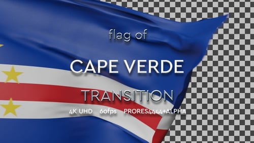 Realistic Waving Flag Screen Transition