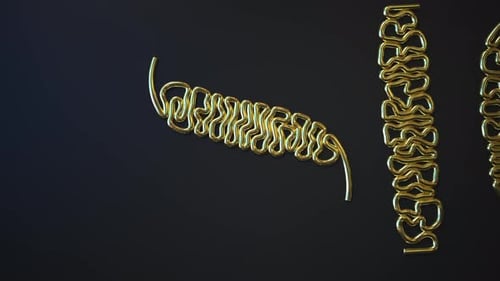 Decorative Golden Lines Form Animated Text