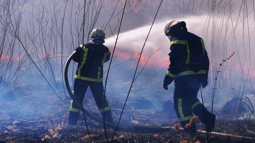 Two Firefighters in Equipment Extinguish Forest Fire with Fire Hose. Slow Motion