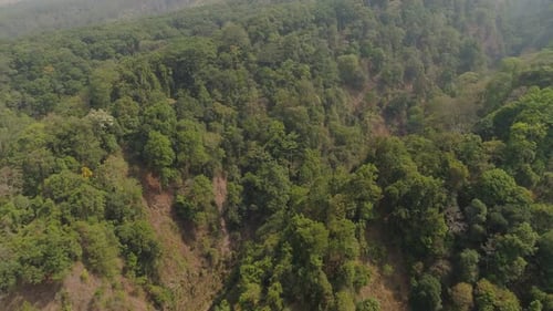 Tropische Landschaft Regenwald und Berge