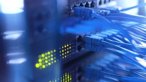 Closeup View of Modern Internet Network Switch with Plugged Ethernet Cables